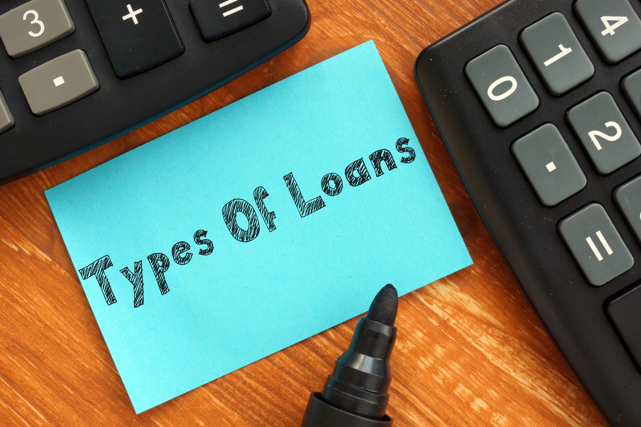 Do private licensed money lenders offer a variety of loans?